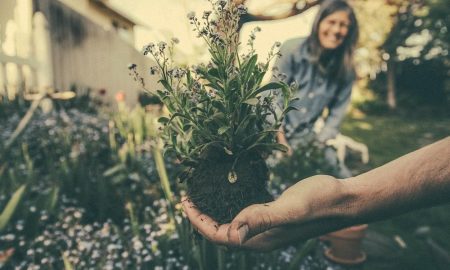 gardening-career-4