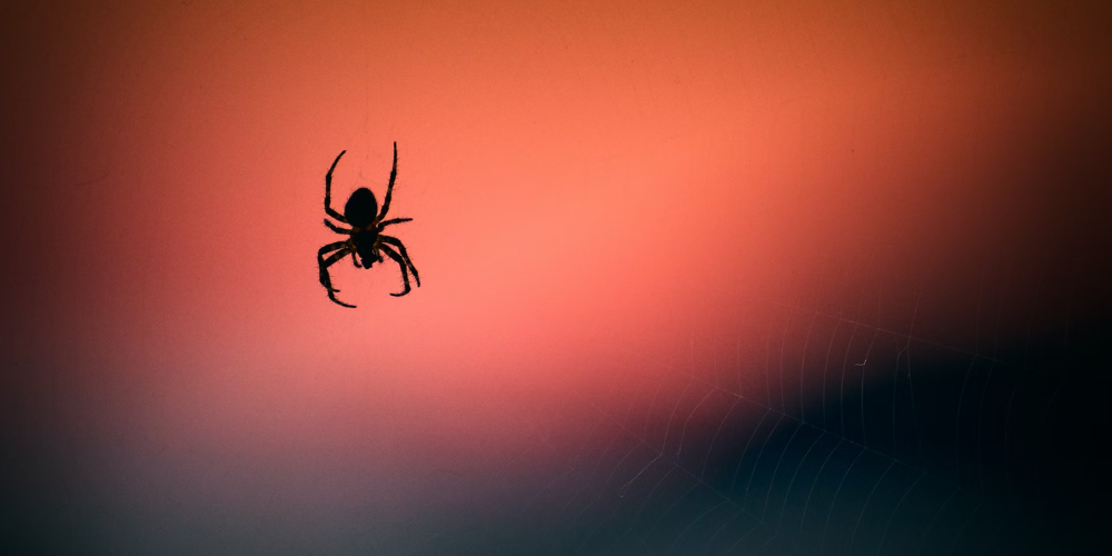 Guard Your Space Keeping Creepy Crawlers Away from Your Home