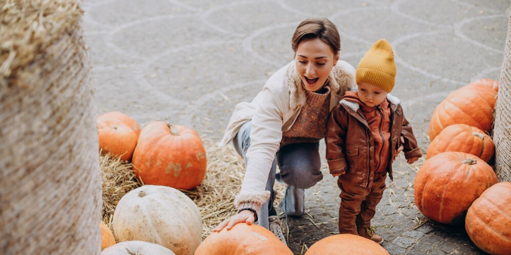 Celebrate Pumpkin Season